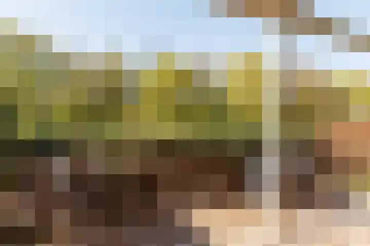 Wageningseberg 286 Utrecht thumbnail 18