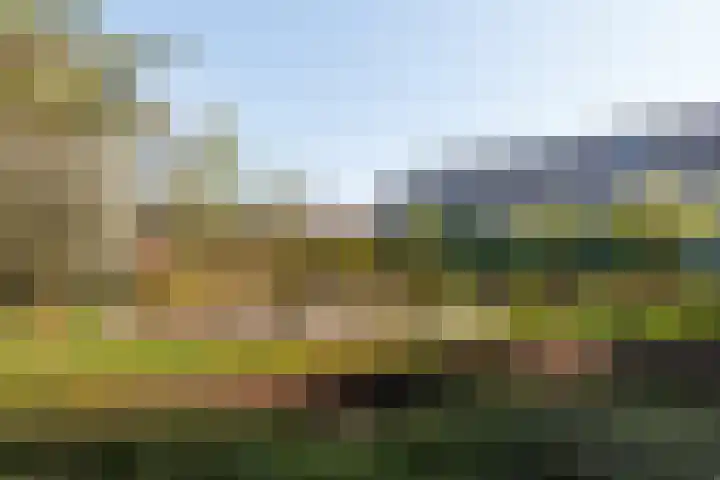 Wageningseberg 286 Utrecht thumbnail 19