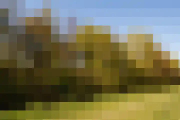 Wageningseberg 286 Utrecht thumbnail 20