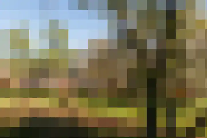 Wageningseberg 286 Utrecht thumbnail 21