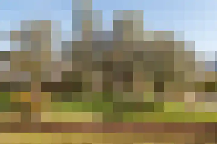 Wageningseberg 286 Utrecht thumbnail 22