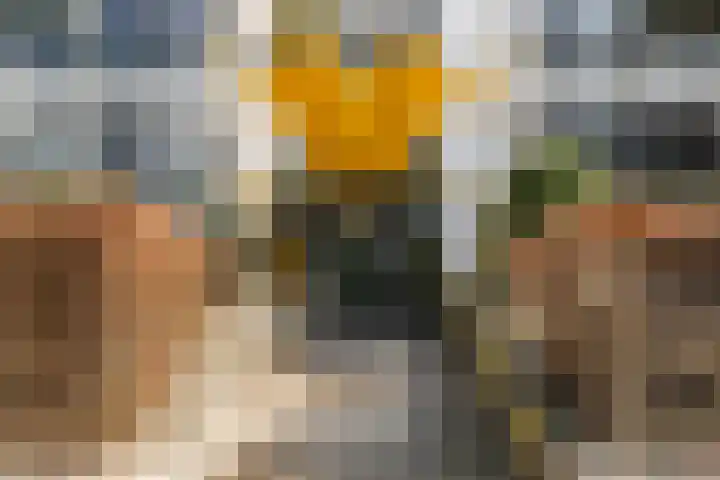 Wageningseberg 286 Utrecht thumbnail 23