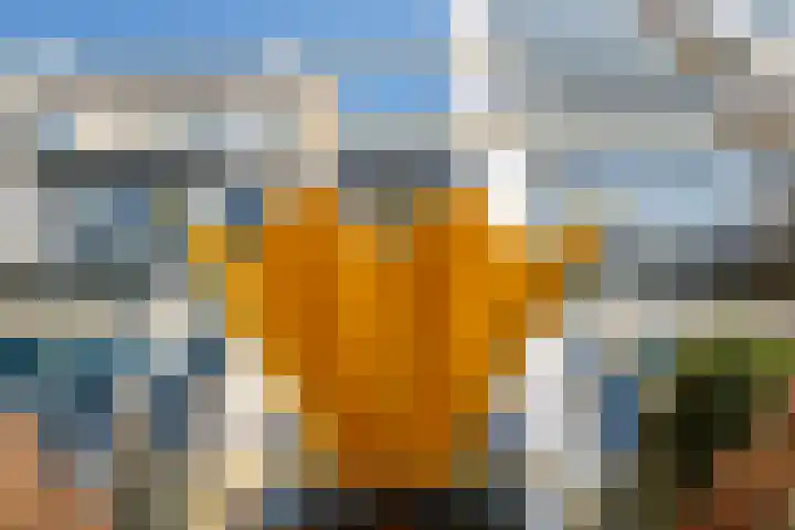 Wageningseberg 286 Utrecht thumbnail 24
