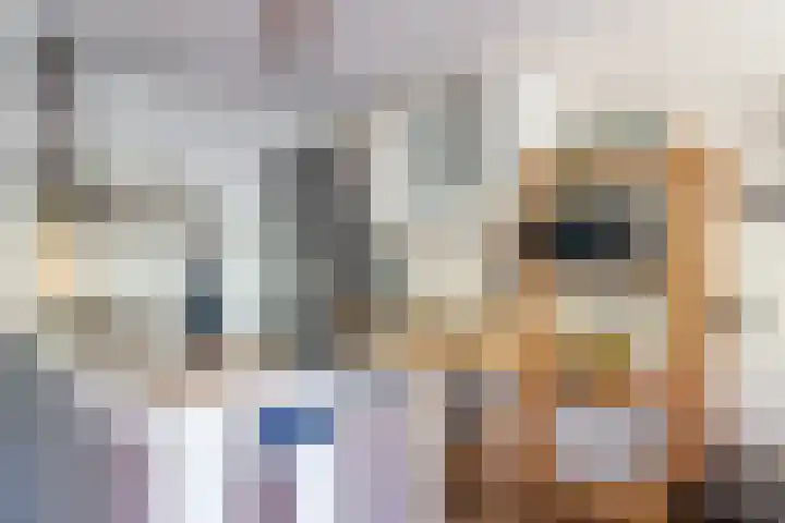 Wageningseberg 286 Utrecht thumbnail 8