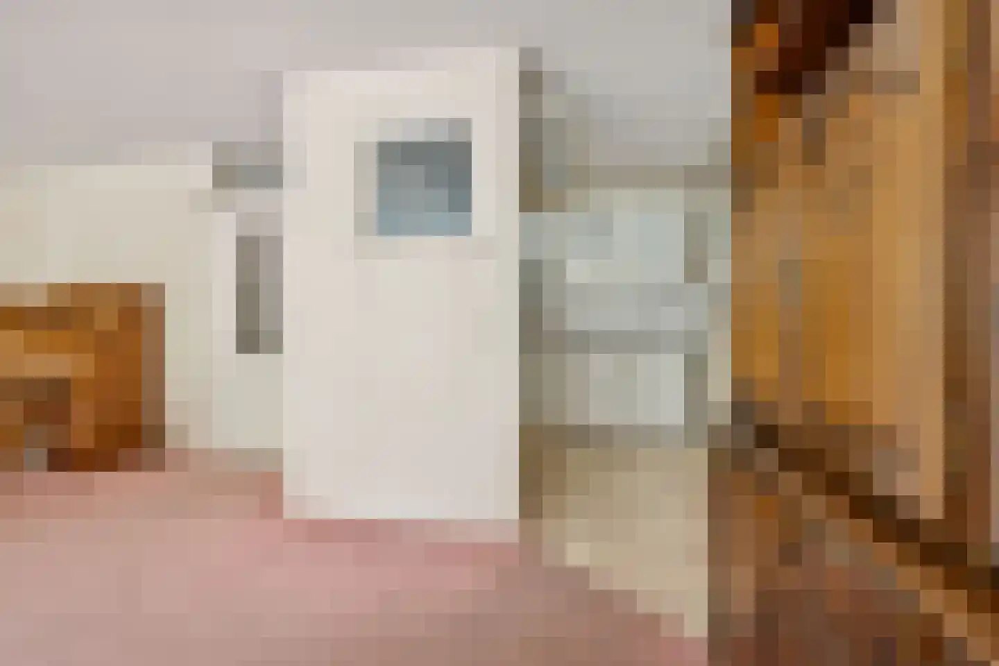 Wageningseberg 314 Utrecht thumbnail 12