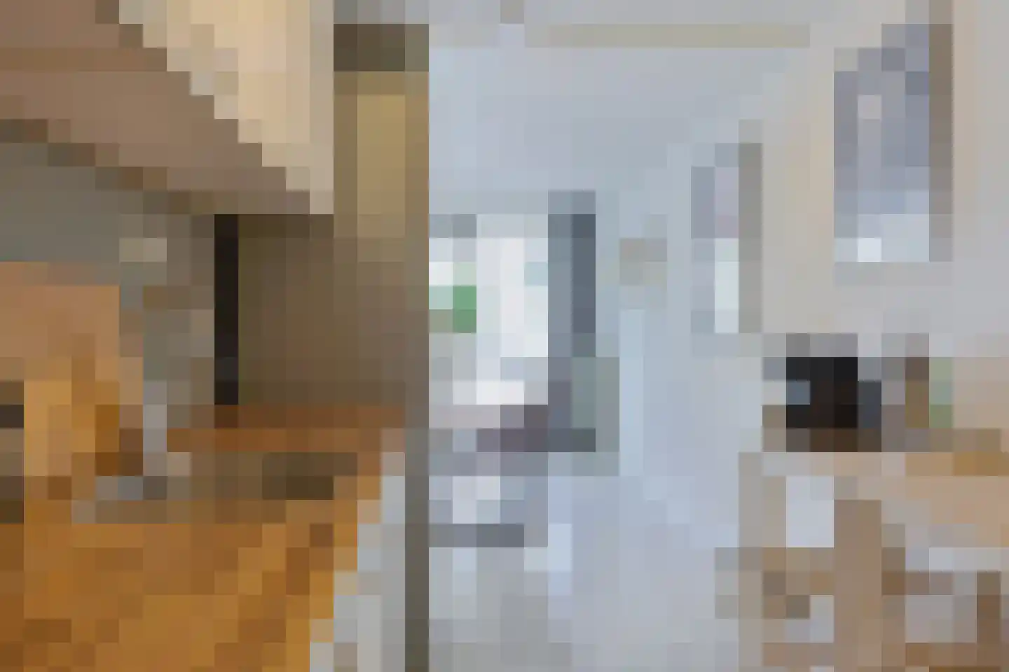 Wageningseberg 324 Utrecht thumbnail 13