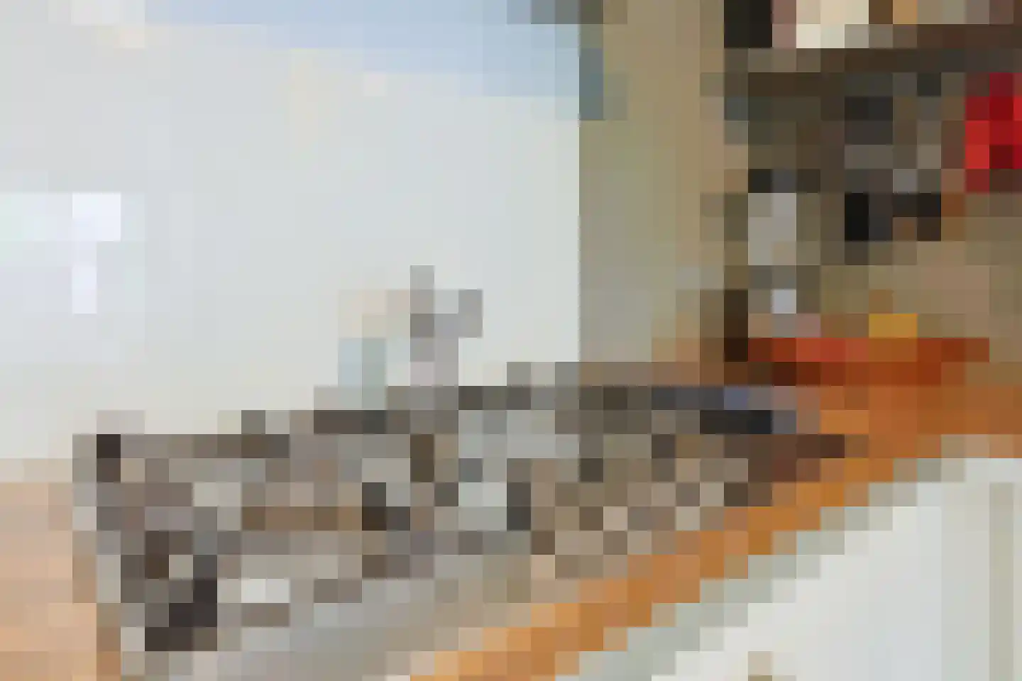 Wageningseberg 324 Utrecht thumbnail 14
