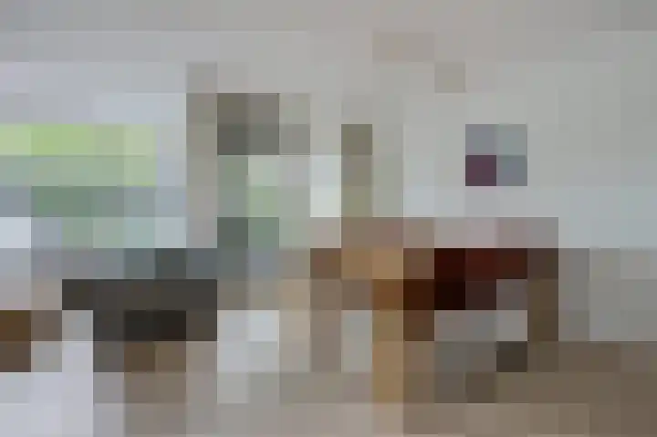 Wageningseberg 328 Utrecht thumbnail 21