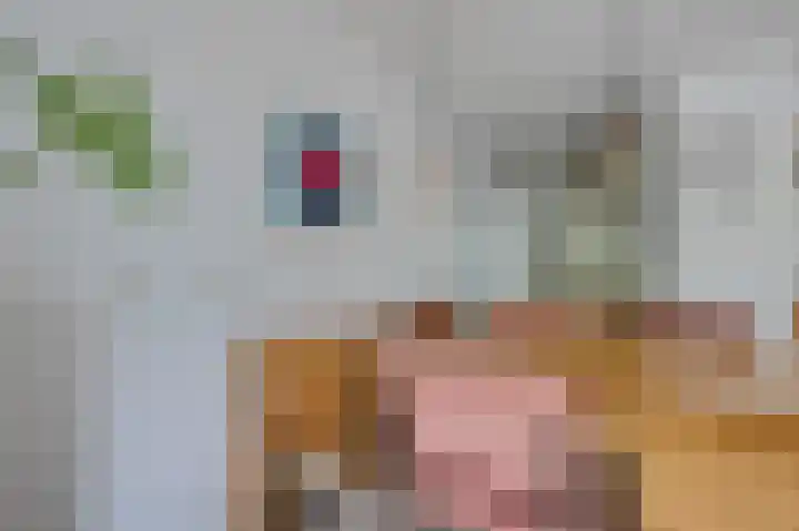 Wageningseberg 328 Utrecht thumbnail 22