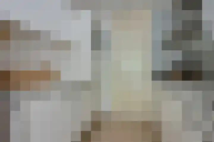 Wageningseberg 328 Utrecht thumbnail 24