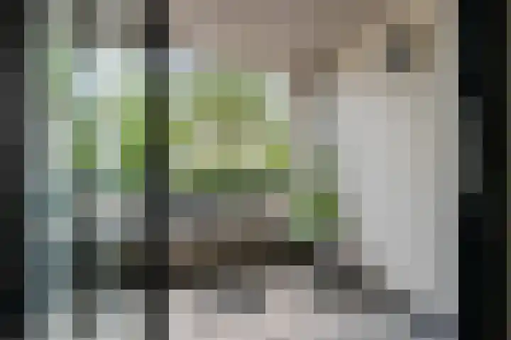 Wageningseberg 328 Utrecht thumbnail 26