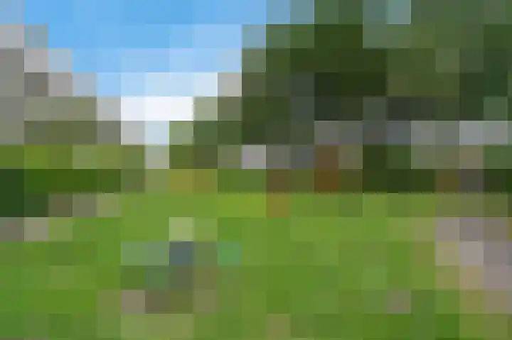 Wageningseberg 328 Utrecht thumbnail 31