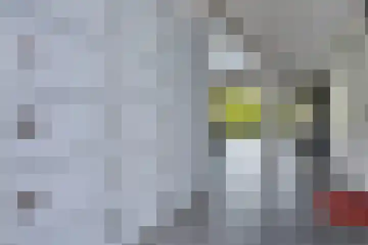 Wageningseberg 328 Utrecht thumbnail 5