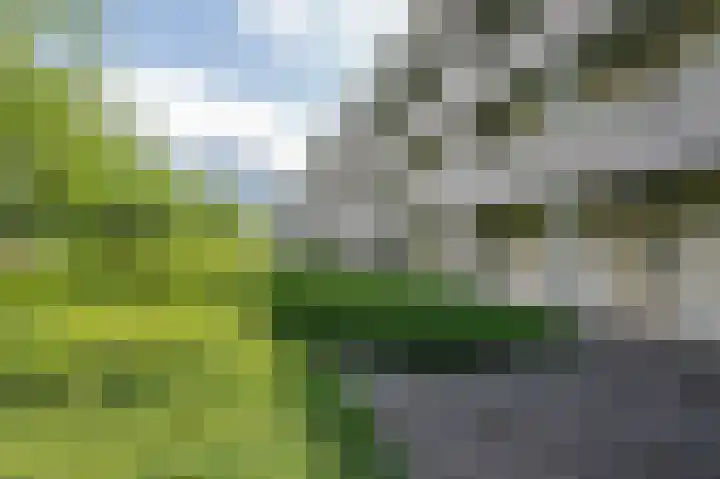 Wageningseberg 328 Utrecht thumbnail 6