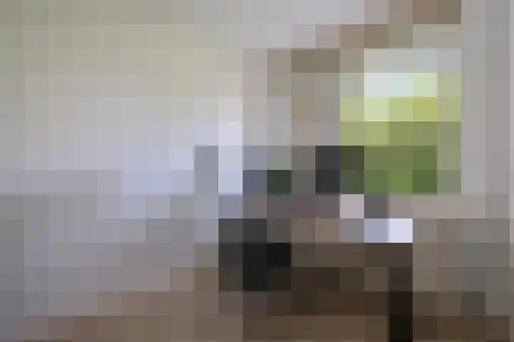 Wageningseberg 328 Utrecht thumbnail 9