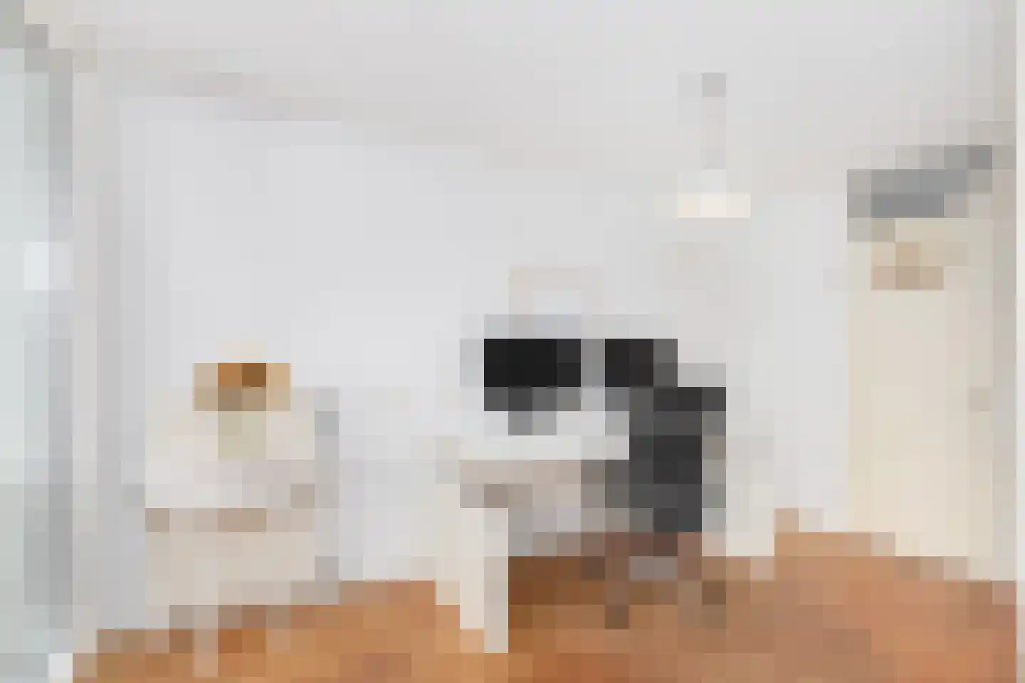 Wageningseberg 364 Utrecht thumbnail 18