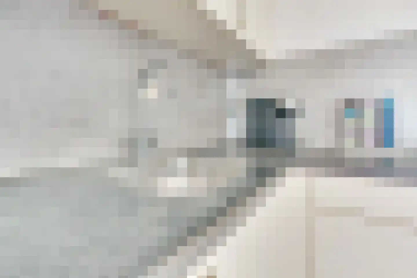 Wageningseberg 364 Utrecht thumbnail 28