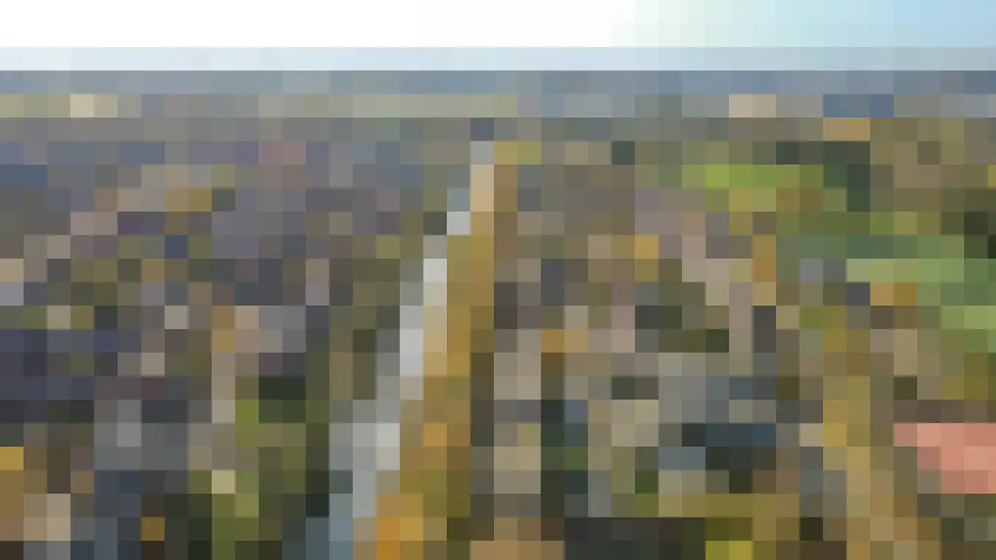 Wageningseberg 364 Utrecht thumbnail 33