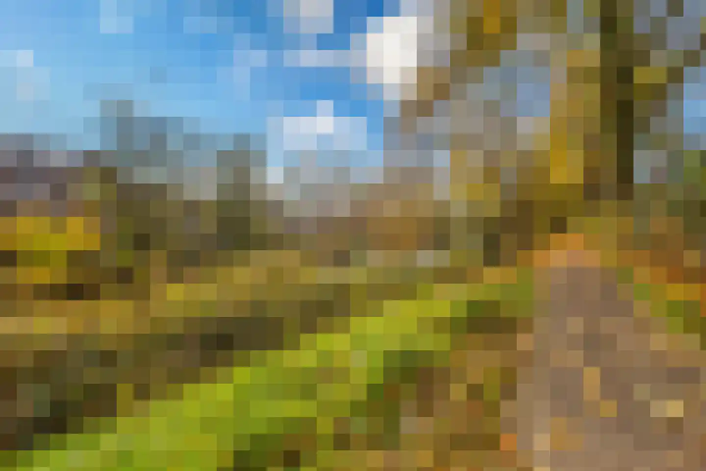 Wageningseberg 364 Utrecht thumbnail 38