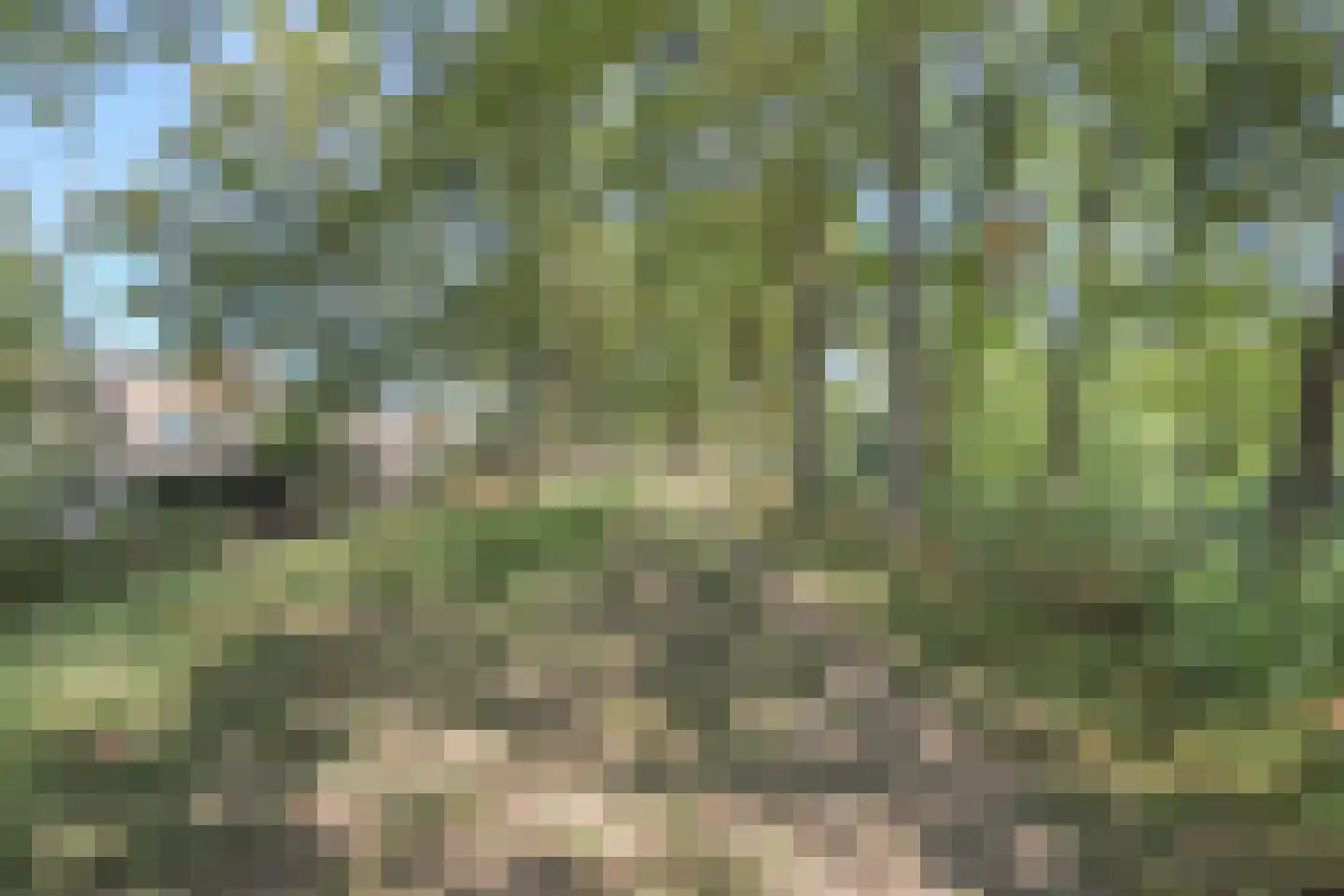 Wageningseberg 364 Utrecht thumbnail 39