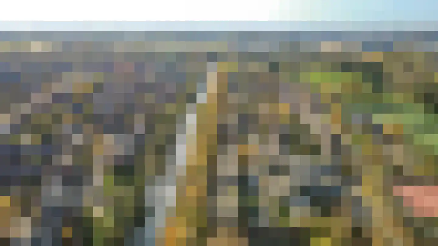 Wageningseberg 378 Utrecht thumbnail 28