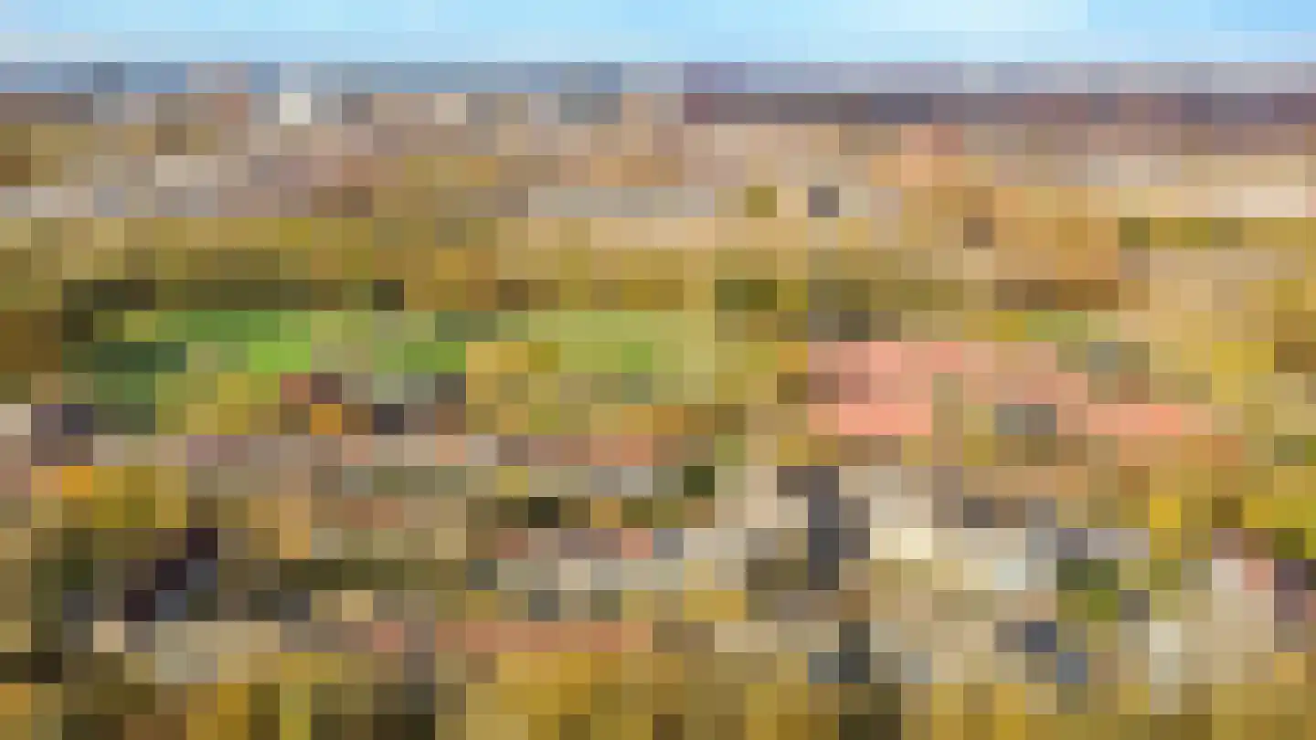 Wageningseberg 378 Utrecht thumbnail 30