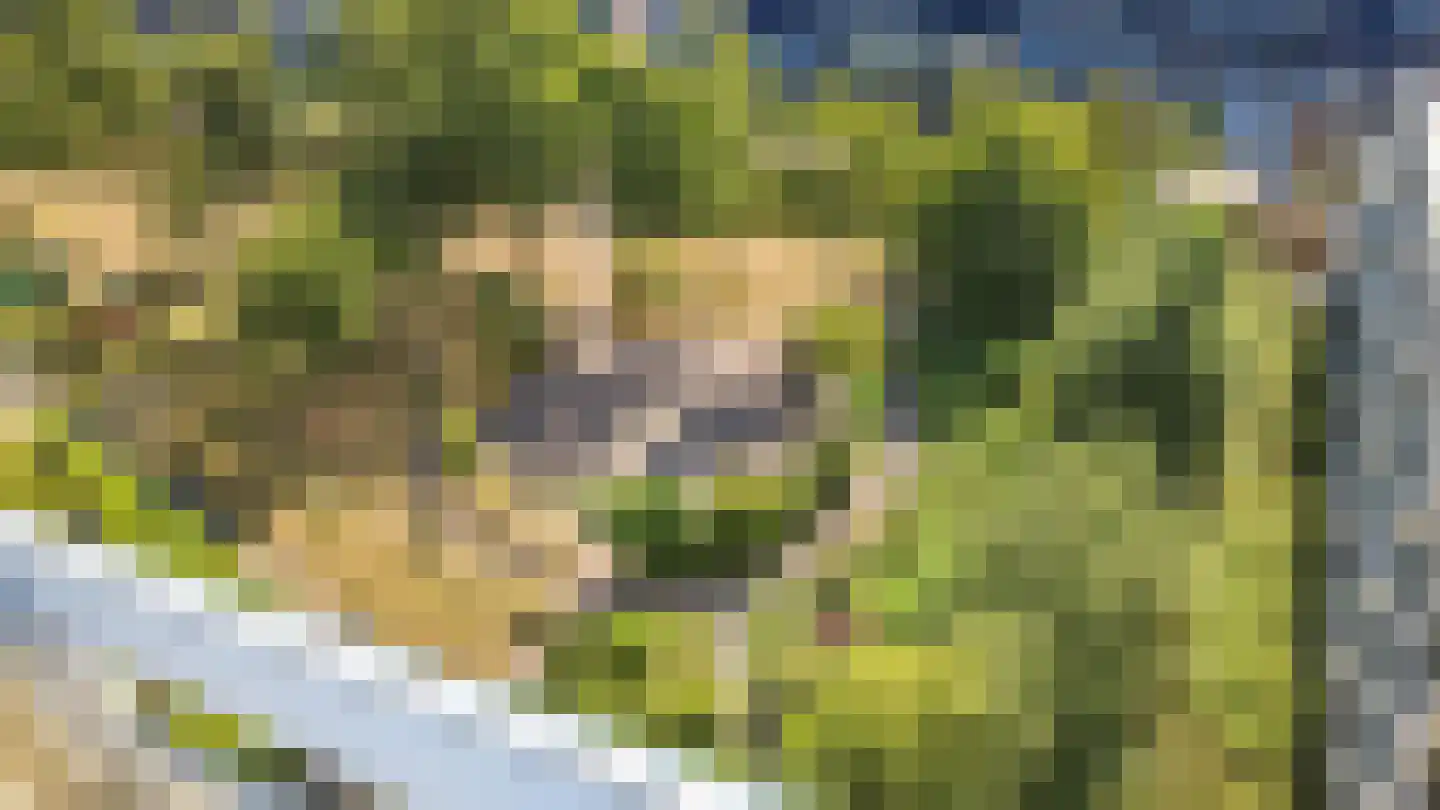 Wageningseberg 378 Utrecht thumbnail 31
