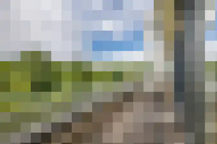 Wageningseberg 394 Utrecht thumbnail 12