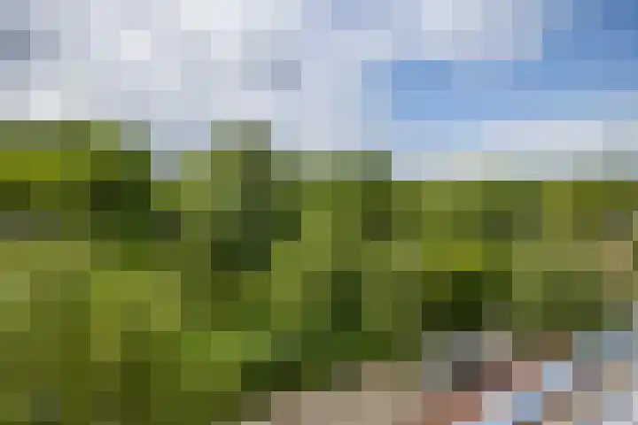 Wageningseberg 394 Utrecht thumbnail 13