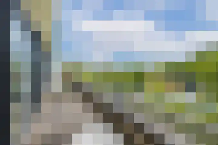 Wageningseberg 394 Utrecht thumbnail 14