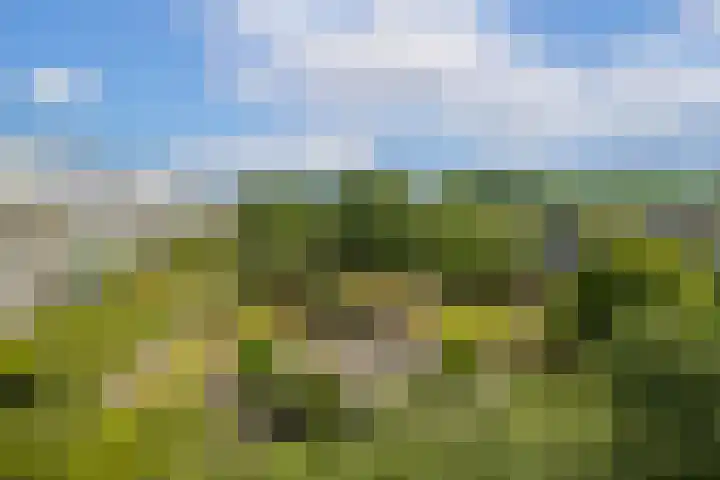 Wageningseberg 394 Utrecht thumbnail 29