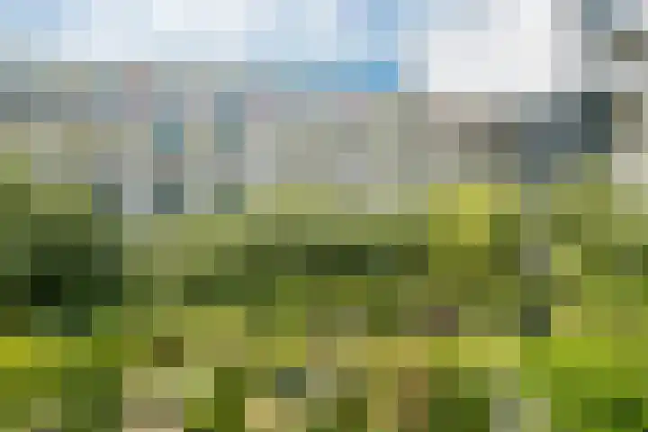 Wageningseberg 394 Utrecht thumbnail 30