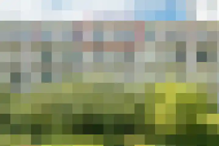 Wageningseberg 394 Utrecht thumbnail 31