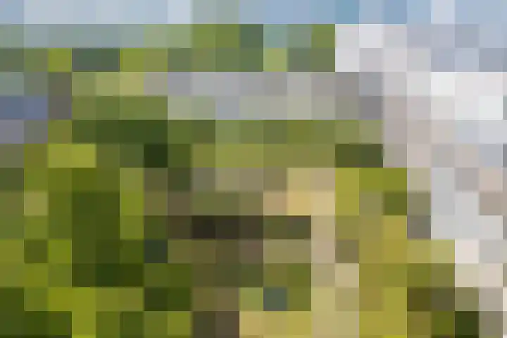 Wageningseberg 394 Utrecht thumbnail 32