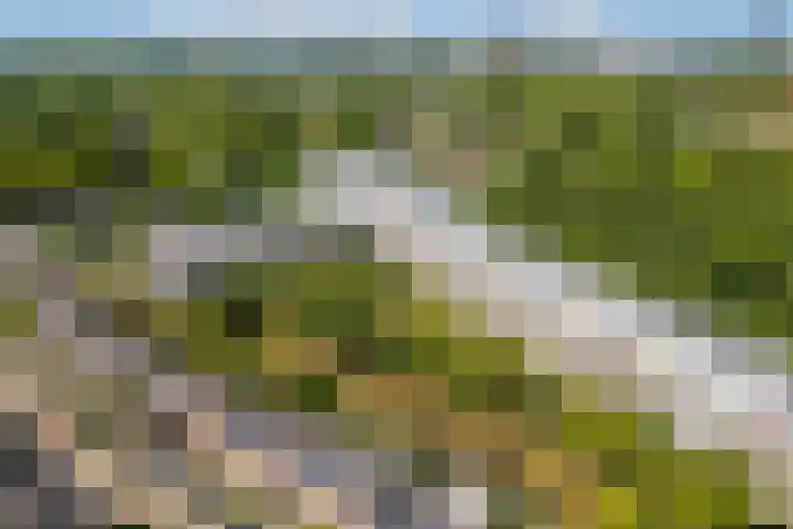 Wageningseberg 394 Utrecht thumbnail 33