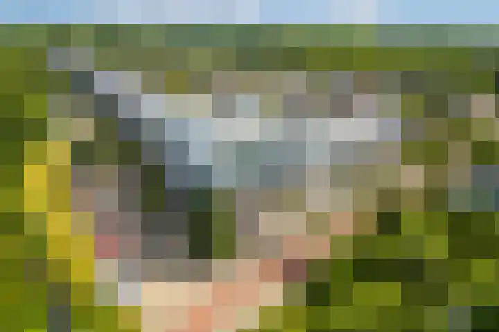 Wageningseberg 394 Utrecht thumbnail 35
