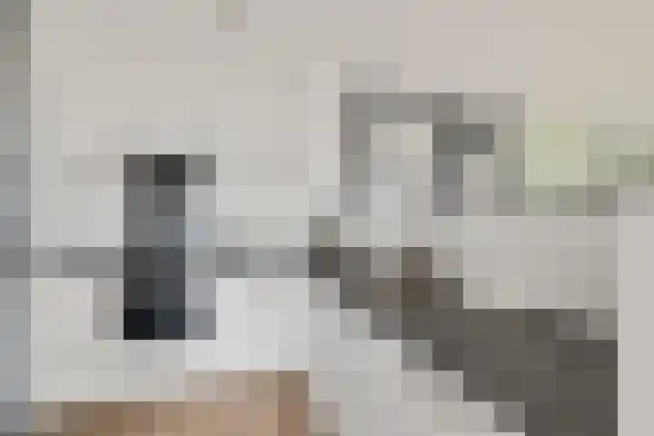 Wageningseberg 398 Utrecht thumbnail 13