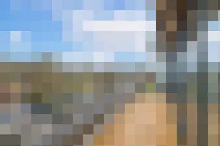 Wageningseberg 398 Utrecht thumbnail 16