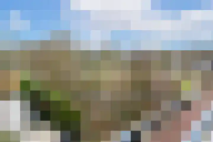 Wageningseberg 398 Utrecht thumbnail 17