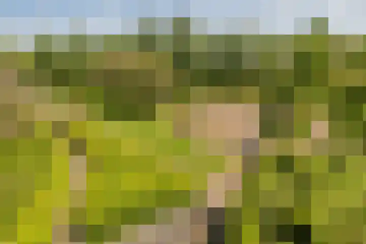 Wageningseberg 398 Utrecht thumbnail 28