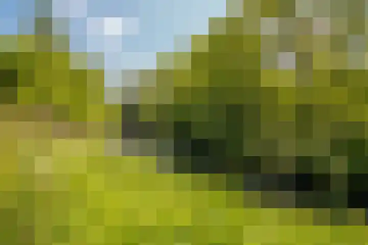Wageningseberg 398 Utrecht thumbnail 29