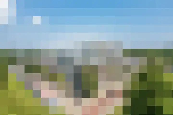 Wageningseberg 398 Utrecht thumbnail 30