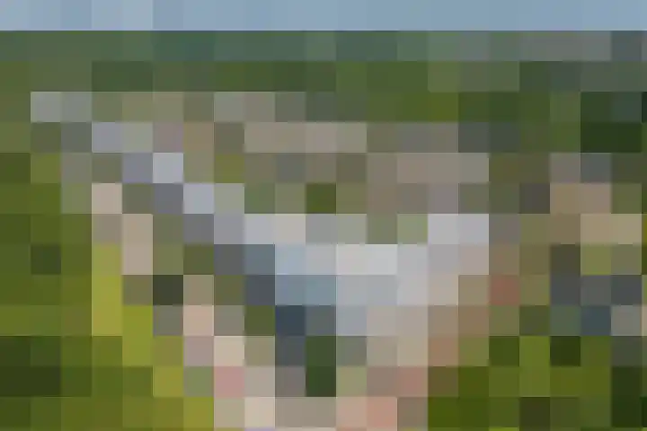 Wageningseberg 398 Utrecht thumbnail 31