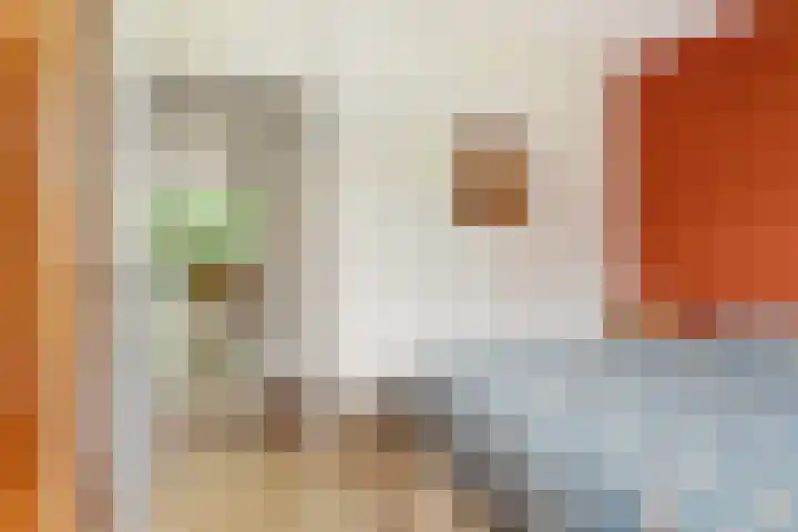 Wageningseberg 4 Utrecht thumbnail 21