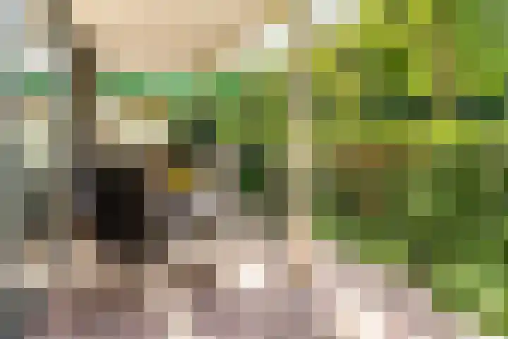 Wageningseberg 4 Utrecht thumbnail 25