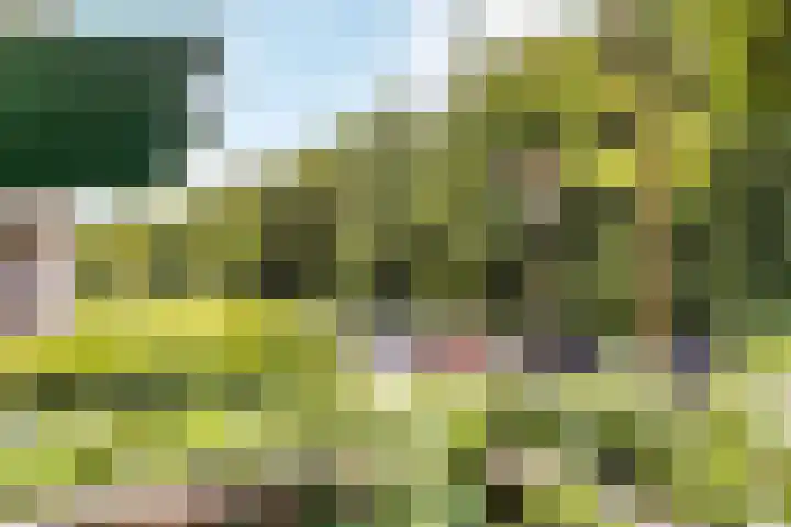 Wageningseberg 4 Utrecht thumbnail 26