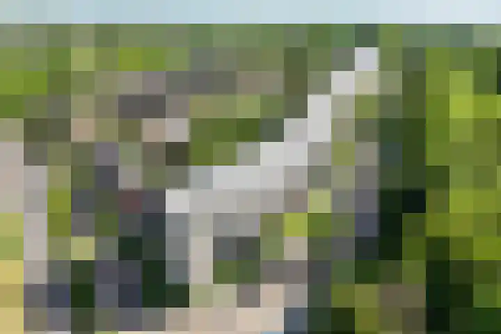 Wageningseberg 4 Utrecht thumbnail 27