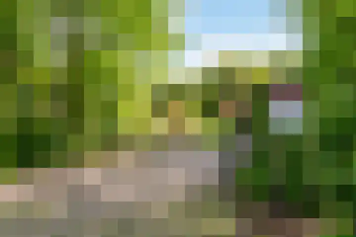 Wageningseberg 4 Utrecht thumbnail 28