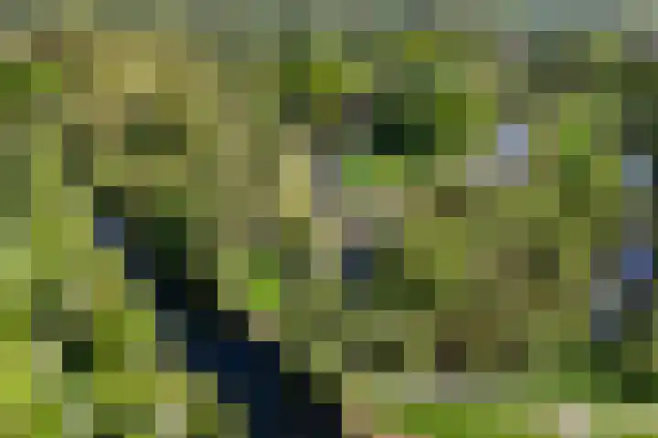 Wageningseberg 4 Utrecht thumbnail 29