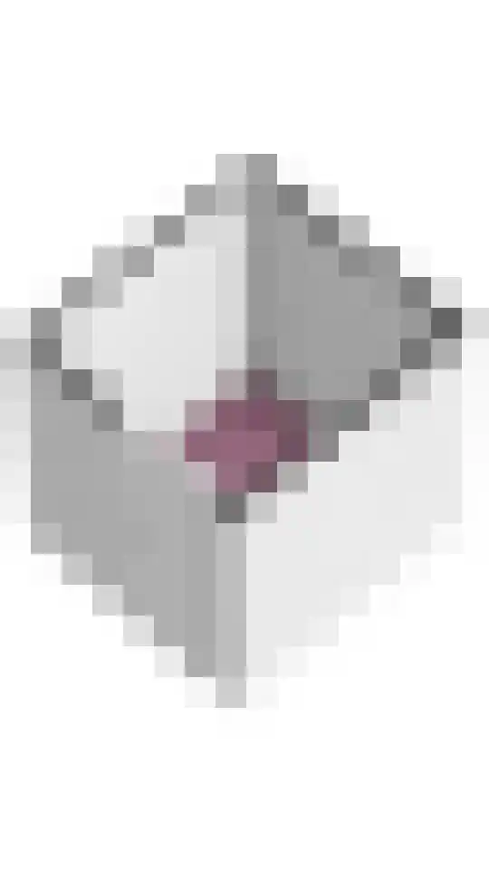 Wageningseberg 4 Utrecht thumbnail 34